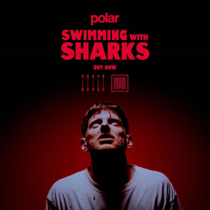 Polar release brand new single 'Swimming with Sharks'